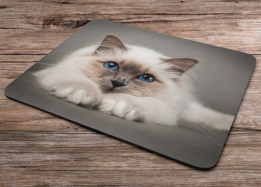 Podložka pod myš s mačkou, CATS