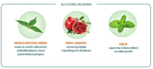 Himalaya Botanique ANTIPLAQUE bielenie TOASTE aktívne uhlie Mäta 113g