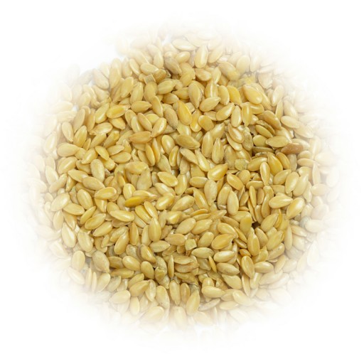 Zlaté ľanové semienka zlatého ľanu GOLDEN LINEN SUPER Q 1kg