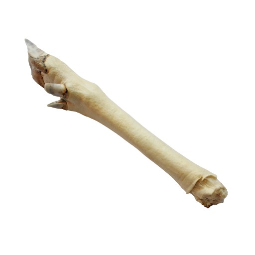 BIELA JELEŇ NOHA - 1 ks. PSA ŽUVANIE