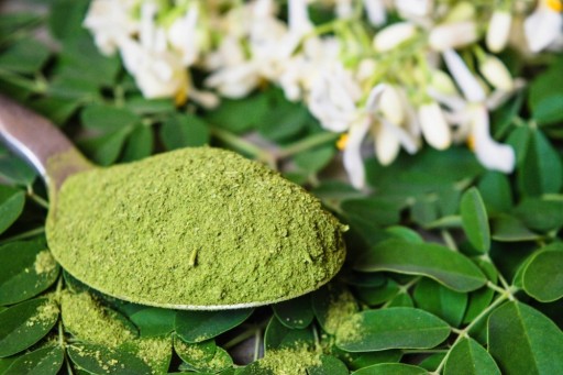 MORINGA OLEJFERA LISTOVÝ PRÁŠOK 100 g