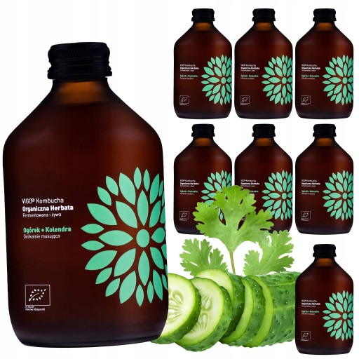 KOMBUCHA S UHORKOVOU A KORIANDROM BEZLEPKOVÁ BIO 31