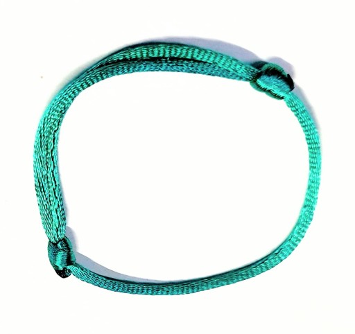 Pelo Tag pre šteniatka pes mačka GREEN r.L