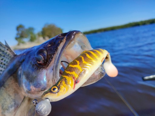 Savage Gear 4D Herring Shad 9cm Šťuka na zubáče, šťuky a ostrieže