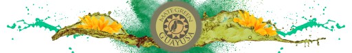 Yerba Mate Zelená GUAYUSA 50g Vzorka Despalada Sin