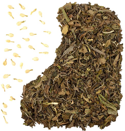 JASMINE BURST biely jazmínový čaj pai mu tan