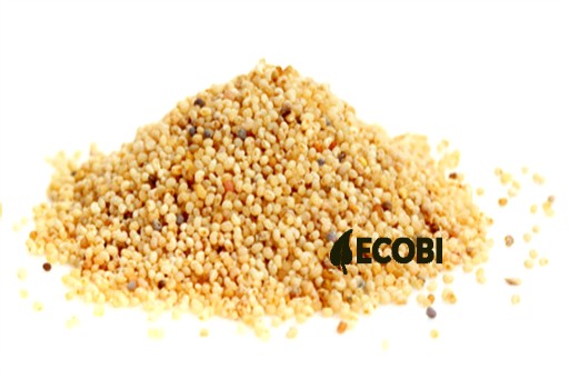 BIELE MAKOVÉ PRECHODY SV. MARCINA 500G CHUŤ PRE ZDRAVIE