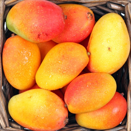 SUŠENÉ MANGO VEĽKÉ BIO Plátky 100g HiFOOD