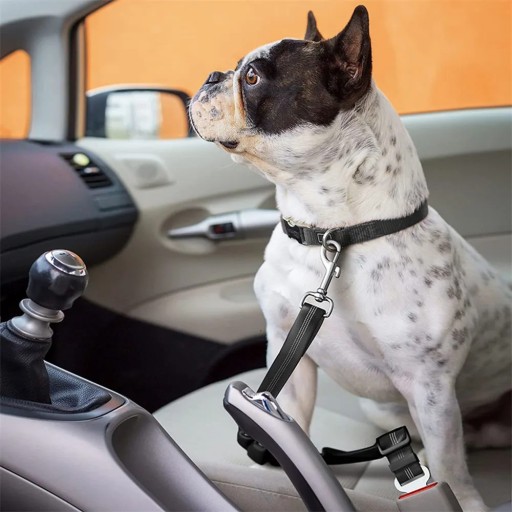 BEZPEČNOSTNÉ PÁSY NA VODÍTKO DO AUTO V2 PRE PSA A MAČKU ČIERNA