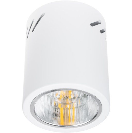Prisadené stropné svietidlo SPOT LARGE TUBE LED E27 biele okrúhle 12cm