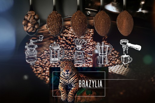 Čerstvo pražené kávové zrná 100% Arabica Brazil 50G pre kávovar na espresso