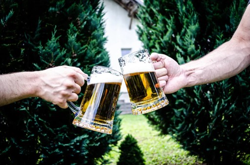 STERN PIVNÝ NÁhubok 510ml GRIL MATCH