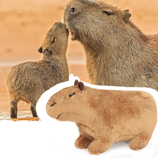 Maskot medvedíka Capybara, plyšová hračka pre deti, 20 cm. KAPYBARA