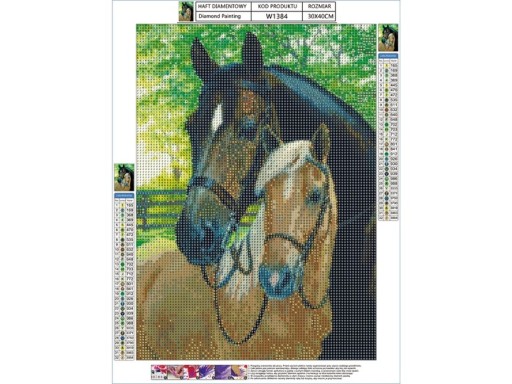 Diamantový obraz HORSES Diamantové vyšívanie 5D mozaika 30x40cm Aplikátor