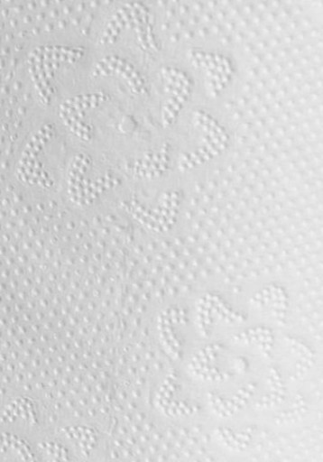 Toaletný papier BulkySoft Premium 2 vrstvy, neparfumovaný, biely, 12 roliek