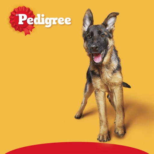 PEDIGREE BISCROK DOG BISCUITS V TVARE KOSTEN 200G