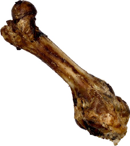 Šunka Bone XXL Premium žuvačka pre psov, prírodne sušená, 1 kus