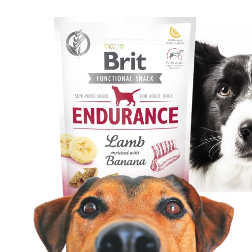 Brit Care Funkčný snack Endurance 150G