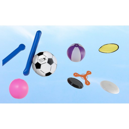 Disk Frisbee