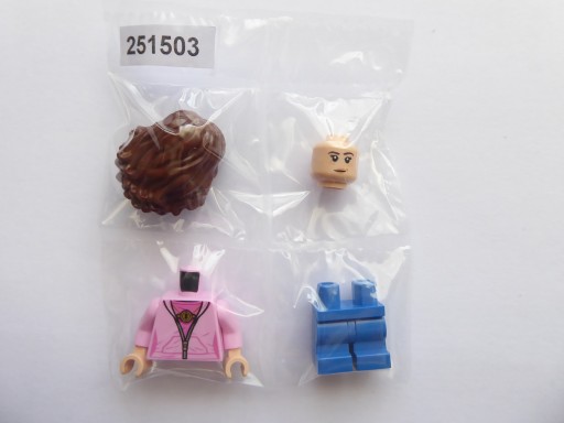 LEGO Harry Potter figúrka Hermiony Grangerovej (75947)