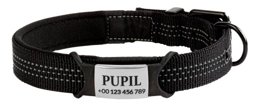 ID štítok pre psa alebo mačku, GRAVENÝ ID štítok, prívesok na obojok, STRIEBORNÉ