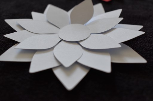 3D kvety Ústava ku dňu matiek na okne, tabuli, závese, škole