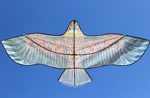 KITE Odplašíš VTÁKY, sokol, havran, jastrab