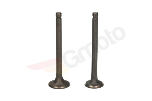 KING ŁOŚ ZIP 139FMB 4T 50cm3 SACÍ VENTIL VÝFUK.