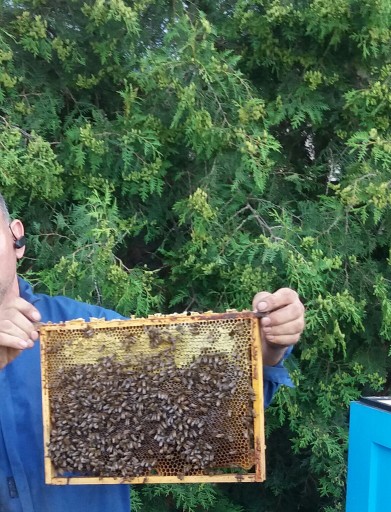 PRÍRODNÝ MALOVÝ MED 100% z Včelnice Mirka Pszcz