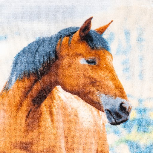 Osuška do škôlky 30x50 kone koníky poníky