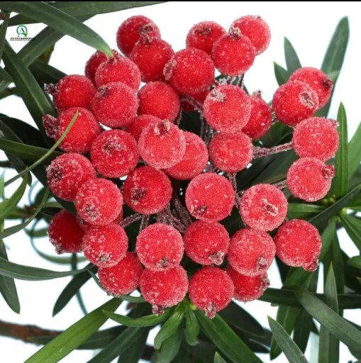 FROST RED UMELÝ Jarabina, 20 ks, ZÁVÄZOK, OZDOBY NA VIANOČNÝ STROMČEK, ČERKY
