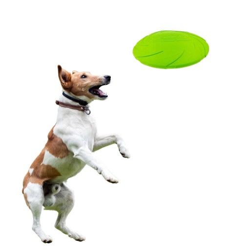 Frisbee hračka pre psov s lietajúcim tanierom aport 18cm