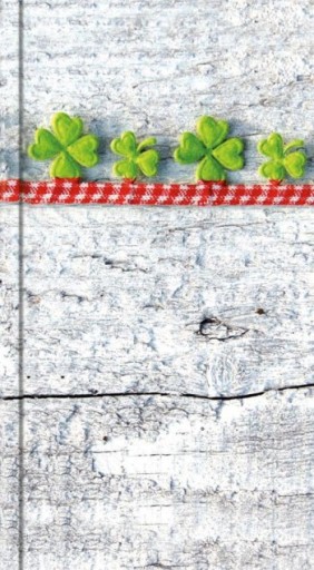 Zápisník A6, linajkový zápisník, farebné zápisníky, Lucky clovers, mäkká fólia