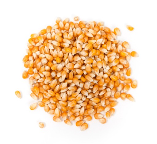 POPCORN KUKURICIA 1kg BEZ SOLI SUPER ZRNKA!