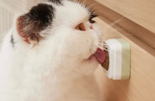Catnip Lollipop snacková loptička s lepiacou mačkou HIT