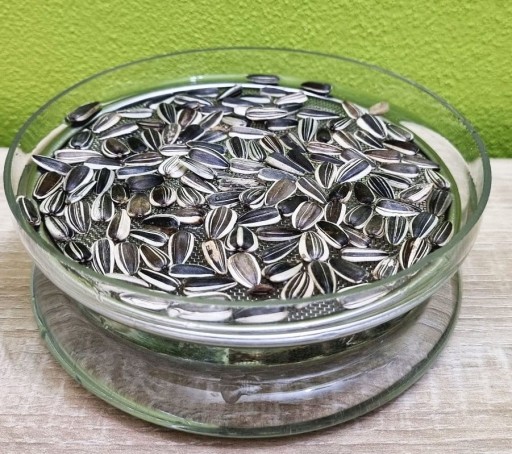 SLNEČNICOVÉ semienka na chutné klíčky 40g