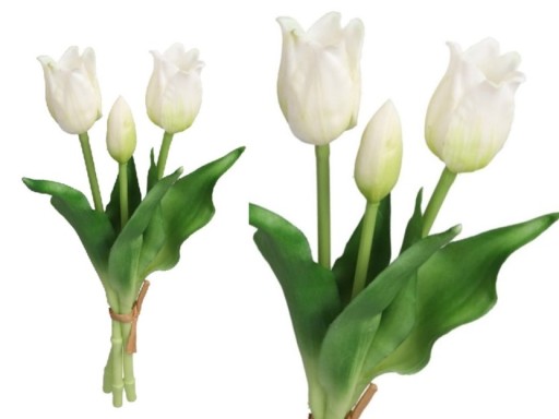 TULIPANY TULIPSKY KYTICE GUMA POTAŽENÁ GUMA AKO ŽIVÁ