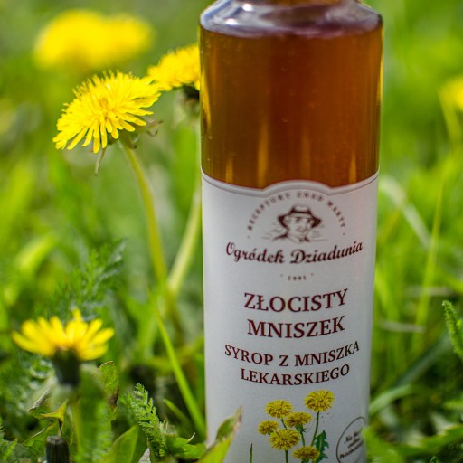 Púpavový SIRUP PRÍRODNÝ 100% ZDRAVÝ