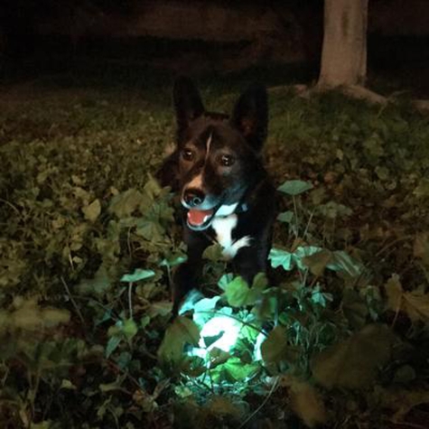 Chuckit Max Glow BALL pre loptičku Dog S