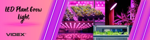 LED žiarovka na pestovanie rastlín, vlákno R80 E27 9W FITOLAMPY VIDEX