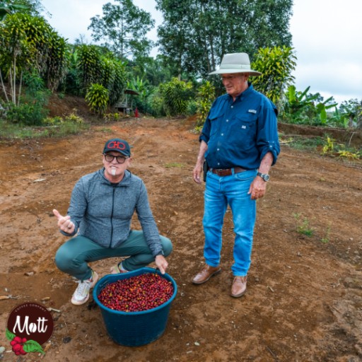 Kávové zrná čerstvo pražené 100% Arabica Costa Rica Mott ŠPECIALITA
