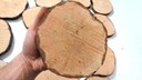 PLÁSOK DREVA PEČIATKY DROB 15-20 CM, 1 KS