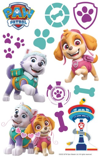 Nástenná dekorácia Paw Patrol, aranžmán - Skye, Everest / VINYL
