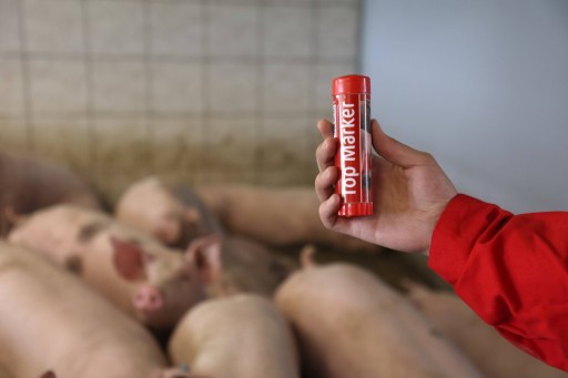 TopMarker pastelka na označovanie zvieratiek, 60 ml