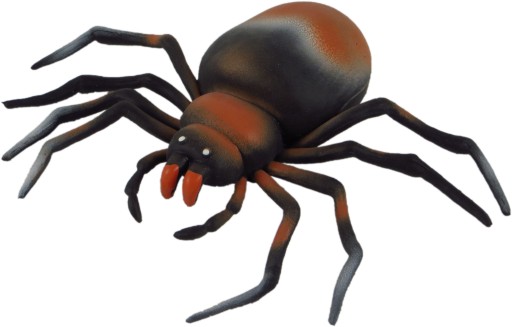 Gumový pavúk tarantule s hráškom 16p