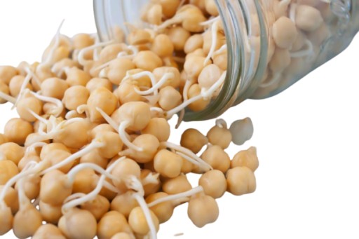 CÍCER, CÍCER - semená na klíčky 250g