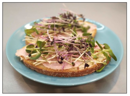 ĽANOVÁ PODLOŽKA na klíčenie microgreens