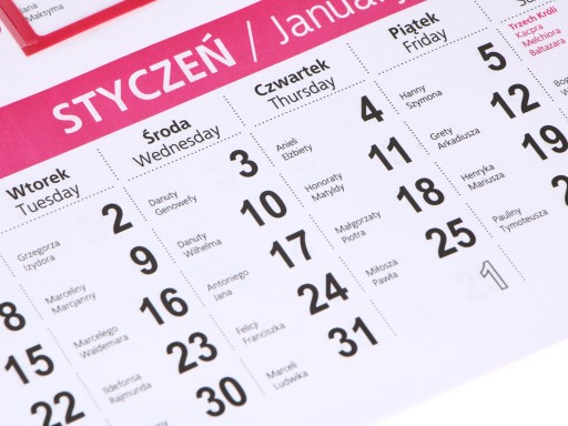 DVOJMESAČNÝ závesný kalendár na 2024 NÁSTENNÉ KVETY 46cm