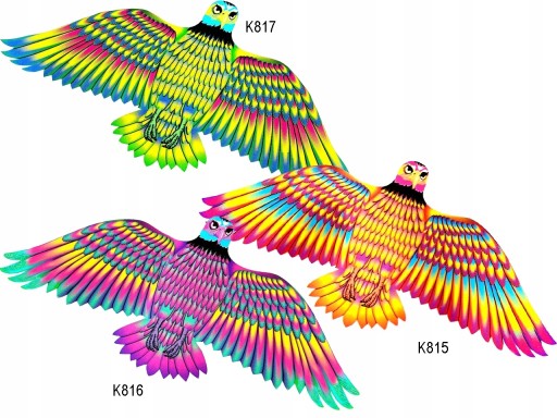 KITE