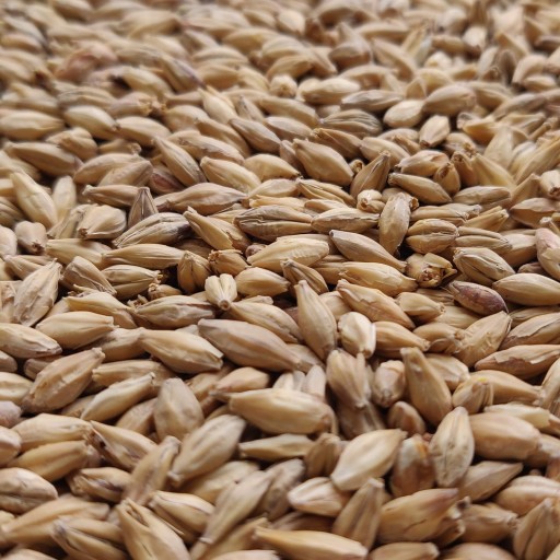 Acidifying Malt 1kg Bestmalz - Nestrieľaný